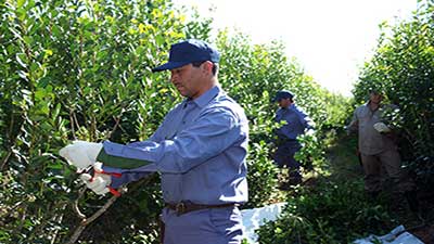 yerba mate sostenible en Argentina, Solidaridad