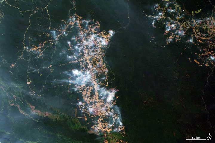 incendios amazonas