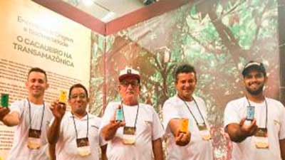 cacao amazonas tueré