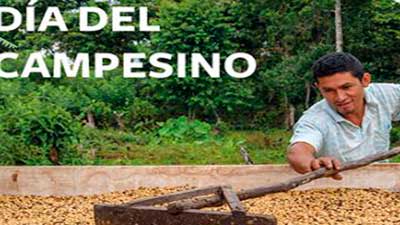 día del campesino caficultura perú