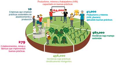 solidaridad reporte anual sudamérica gráfico