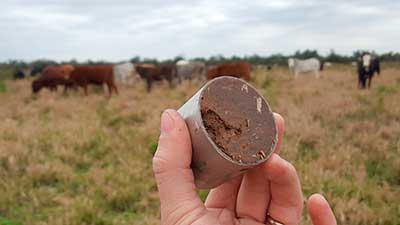 ganadería paraguay chaco sustentable