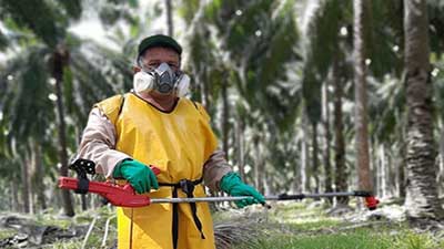 aplicación herbicida honduras palma