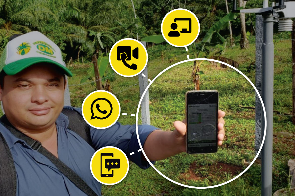 Solidaridad, La informaci&oacute;n permite a los productores tomar decisiones mejores y m&aacute;s oportunas