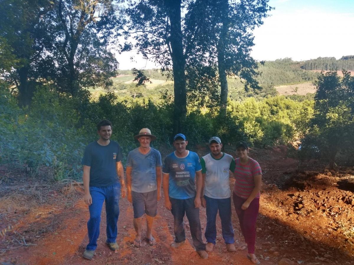 productores yerba mate brasil