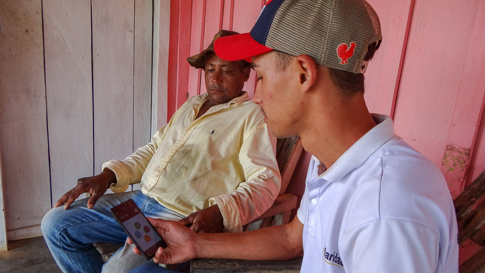 app productores brasil celular