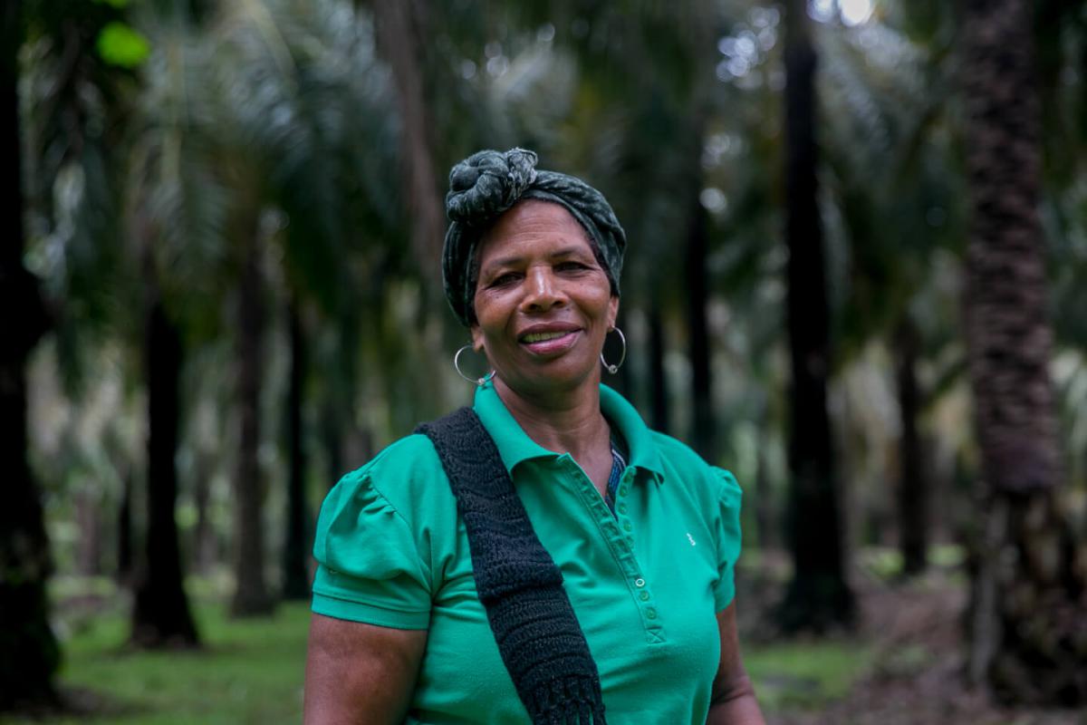 zu&ntilde;iga palmicultora