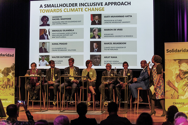 cumbre caf&eacute; holanda