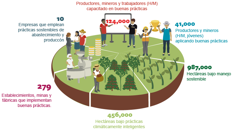 solidaridad reporte anual sudam&eacute;rica gr&aacute;fico