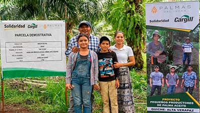 palma guatemala ixcan