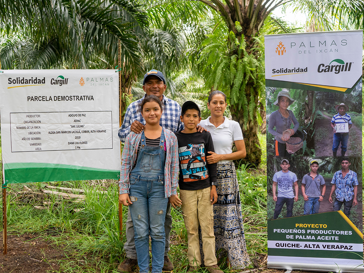 palma guatemala productores ixc&aacute;n adolo paz