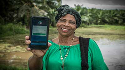 palmicultora celular