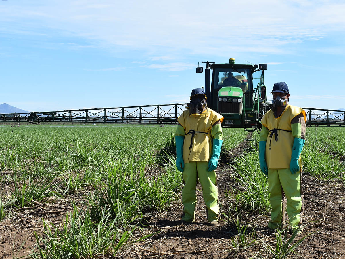 buenas practicas agricolas salud y seguridad equipo proteccion Solidaridad