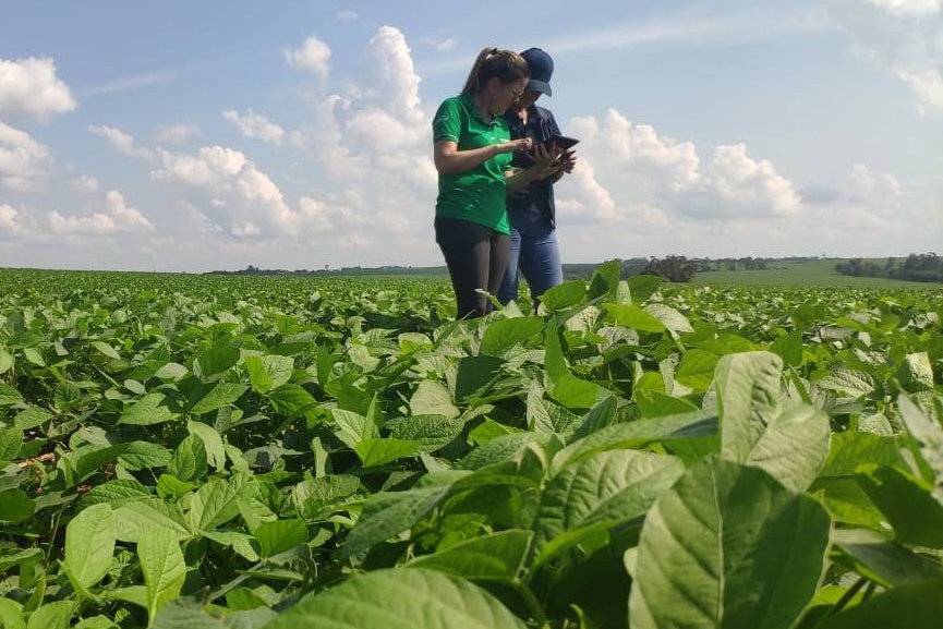 mejora continua en soja, Solidaridad