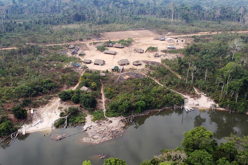 par&aacute; brasil amazonas deforestaci&oacute;n ilegal