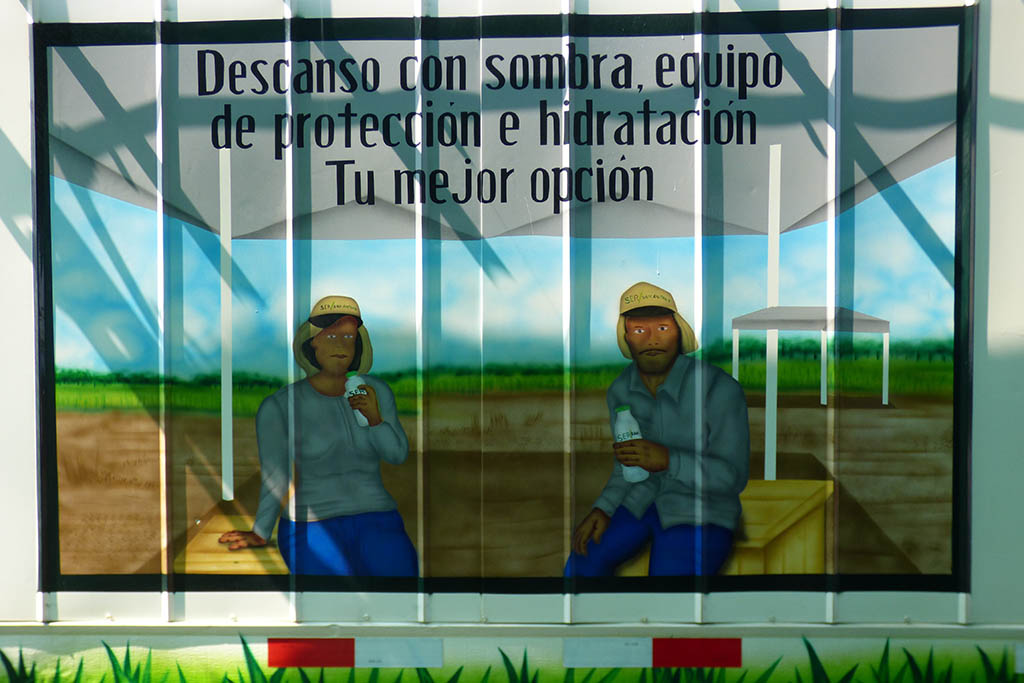 descanso-sombra-equipo-proteccion-hidratacion Solidaridad