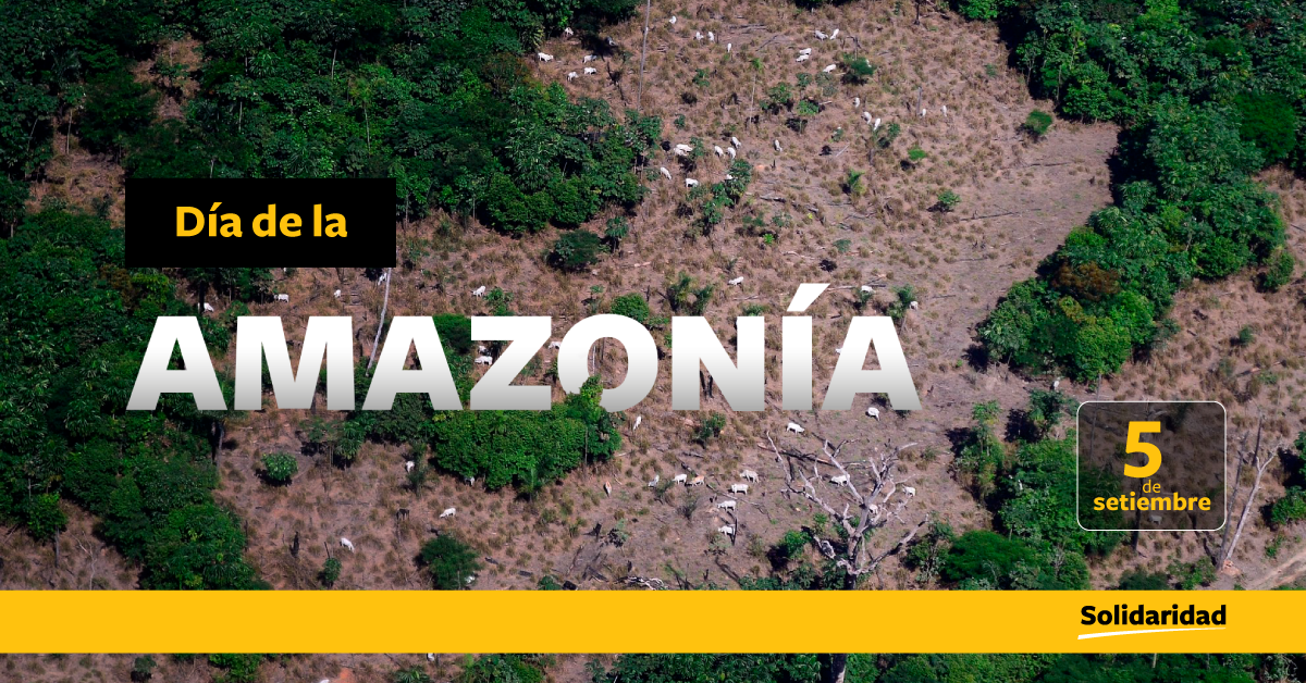 d&iacute;a de la amazon&iacute;a