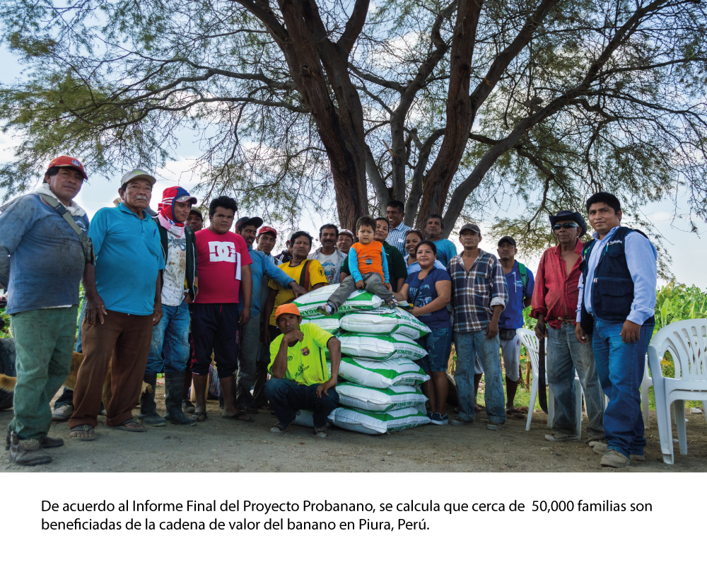 proyecto probanano per&uacute;