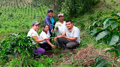 finca sierra cauca café colombia