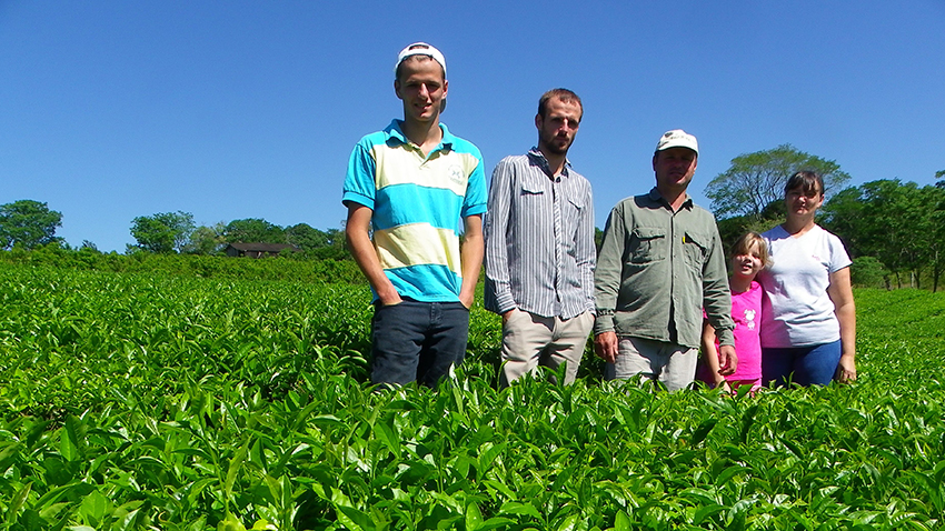 Horocszuck producci&oacute;n t&eacute; argentina