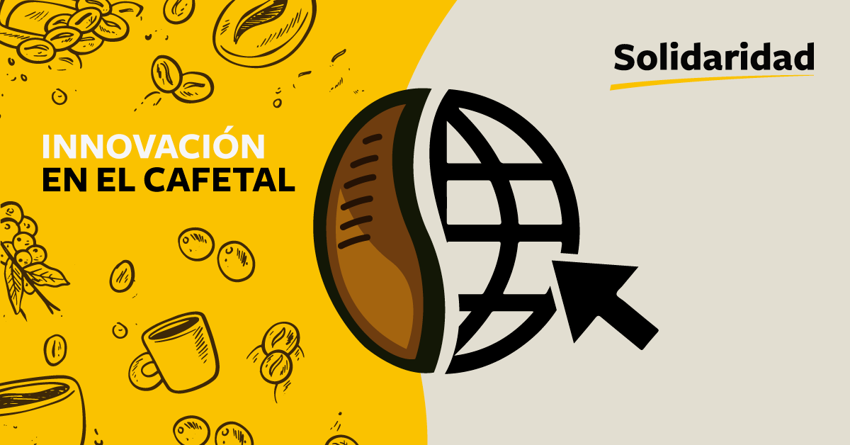 innovaci&oacute;n en el cafetal solidaridad gr&aacute;fico