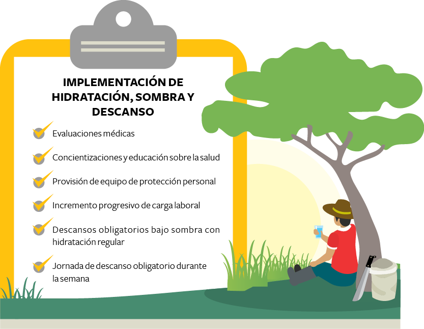 resumen-protocolo-hidratacion-sombra-descanso-campo Solidaridad