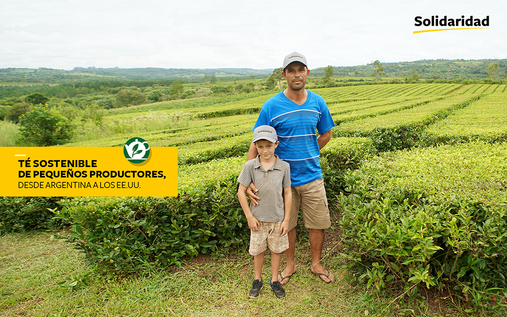 Campo de t&eacute; de la familia Senger