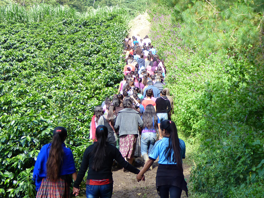 walc mujeres guatemala campo