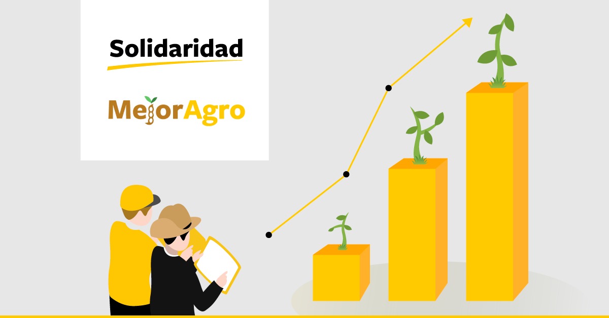 mejoragro paraguay soja gr&aacute;fico