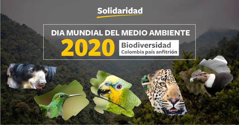 colombia d&iacute;a mundial del medio ambiente 2020 biodiversidad