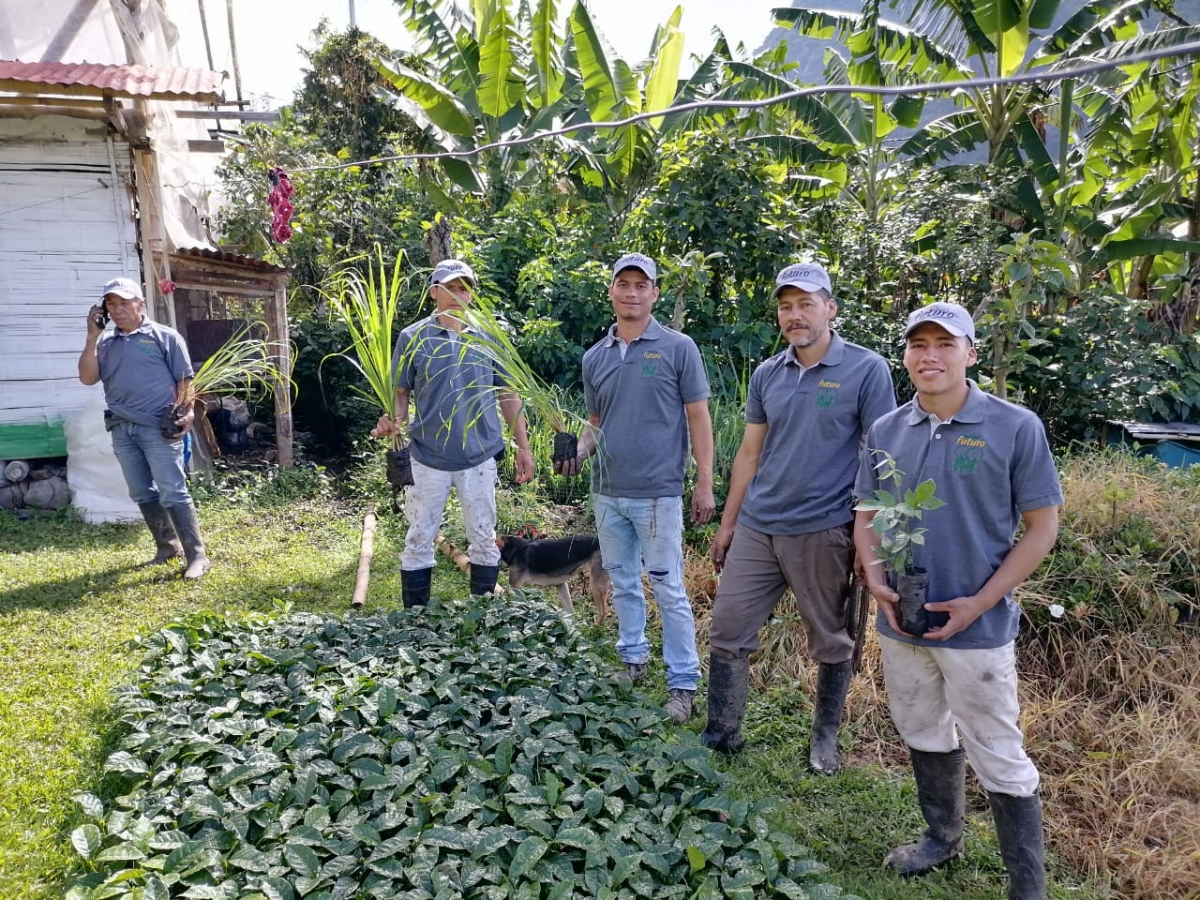 Caf&eacute; del Futuro: econom&iacute;a colaborativa para la seguridad alimentaria en Colombia