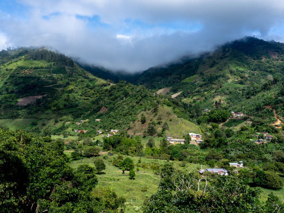 colombia risaralda caf&eacute;