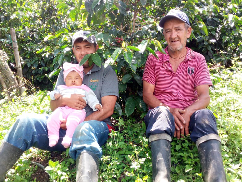 caficultores colombia empalme generacional