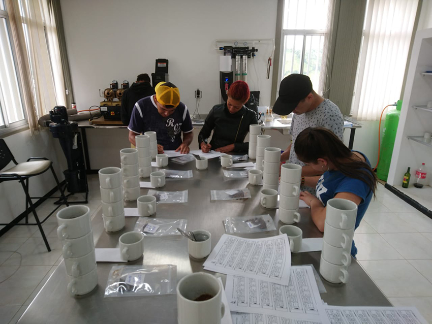 jornadas cata de caf&eacute; colombia