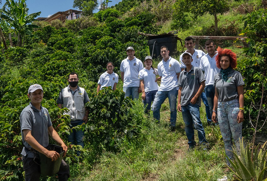 cafetaleros colombia empalme generacional