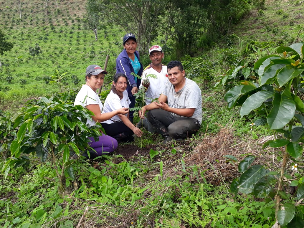 productores caf&eacute; colombia finca sierra cauca