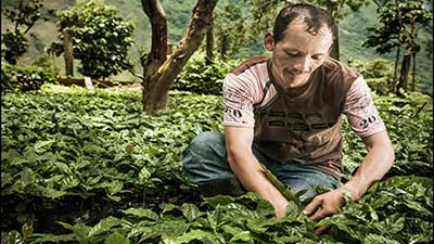 café climáticamente inteligente productor