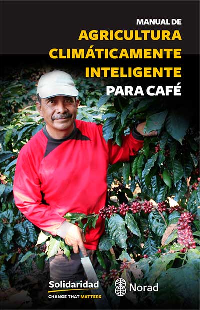 cultivar café publicación