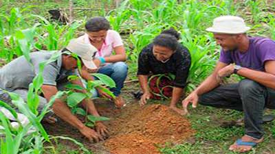 agricutura bajo carbono productores