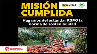 rspo guatemala honduras
