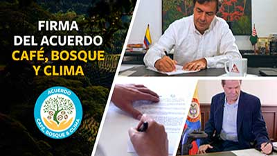 acuerdo café bosques clima