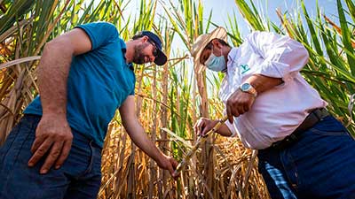 mudacana productores