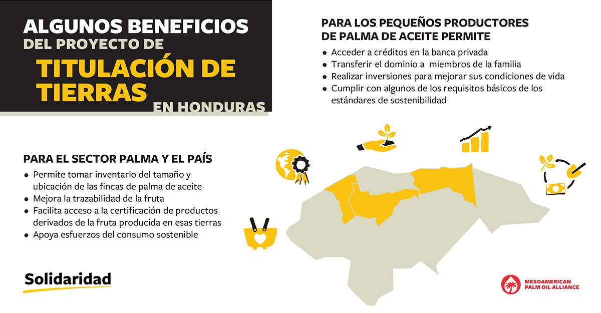 PARA LOS PEQUE&Ntilde;OS PRODUCTORES DE PALMA DE ACEITE PERMITE &bull; Acceder a cr&eacute;ditos en la banca privada &bull; Transferir el dominio a miembros de la familia &bull; Realizar inversiones para mejorar sus condiciones de vida &bull; Cumplir con algunos de los requisitos b&aacute;sicos de los est&aacute;ndares de sostenibilidad PARA EL SECTOR PALMA Y EL PA&Iacute;S &bull; Permite tomar inventario del tama&ntilde;o y ubicaci&oacute;n de las fincas de palma de aceite &bull; Mejora la trazabilidad de la fruta &bull; Facilita acceso a la certificaci&oacute;n de productos derivados de la fruta producida en esas tierras &bull; Apoya esfuerzos del consumo sostenible