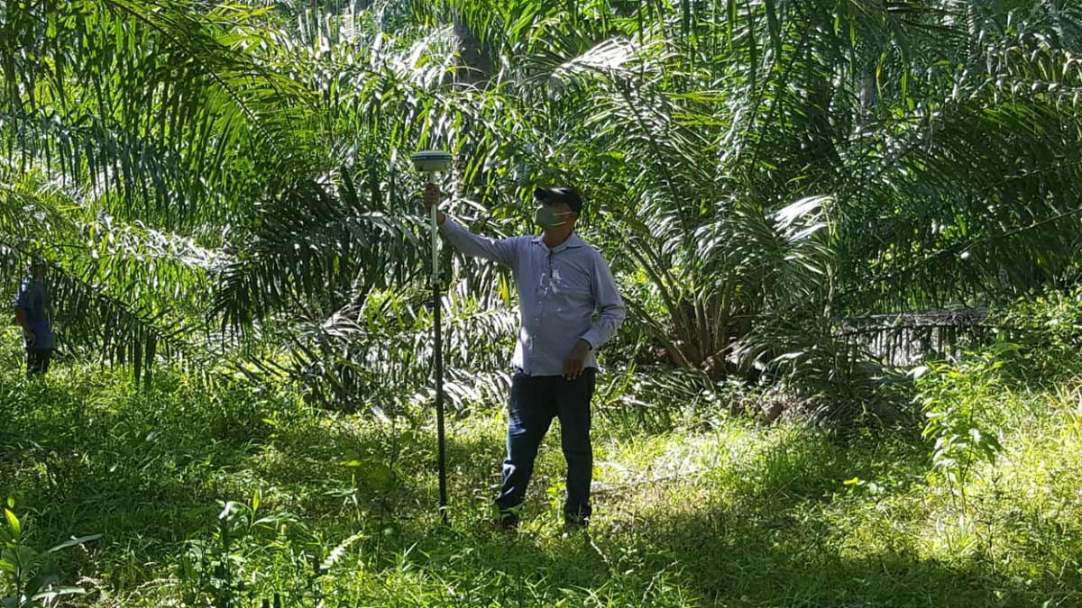 T&eacute;cnico utiliza georeferenciador en parcela de palma.