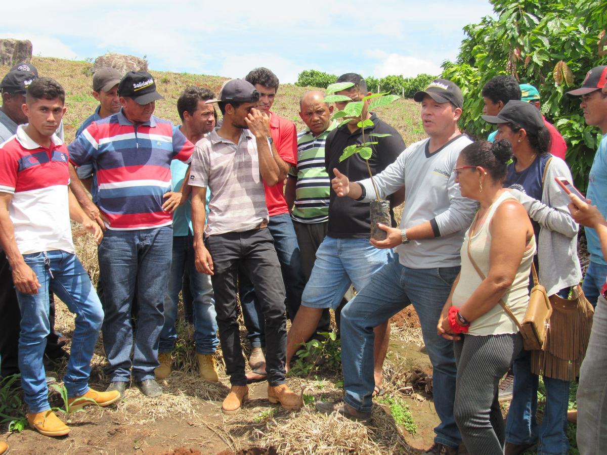 capacitaci&oacute;n a campo cacao plantines brasil