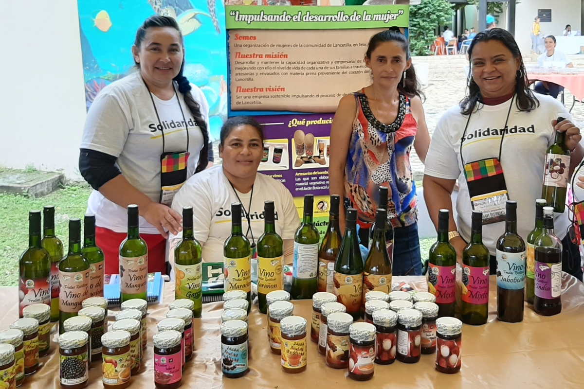 amalancetilla vinos cacao