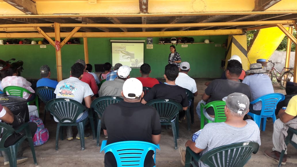 capacitacion-conservacion-biodiversidad-solidaridad-cooperativa-salama-honduras