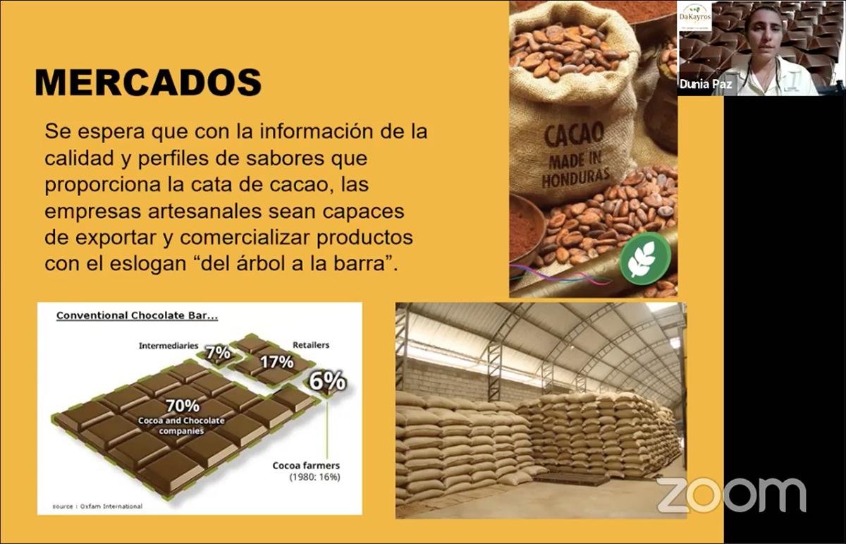 chocolates-desde-arbol-a-barra-formacion-inclusiva-redmuch-solidaridad-centroamerica