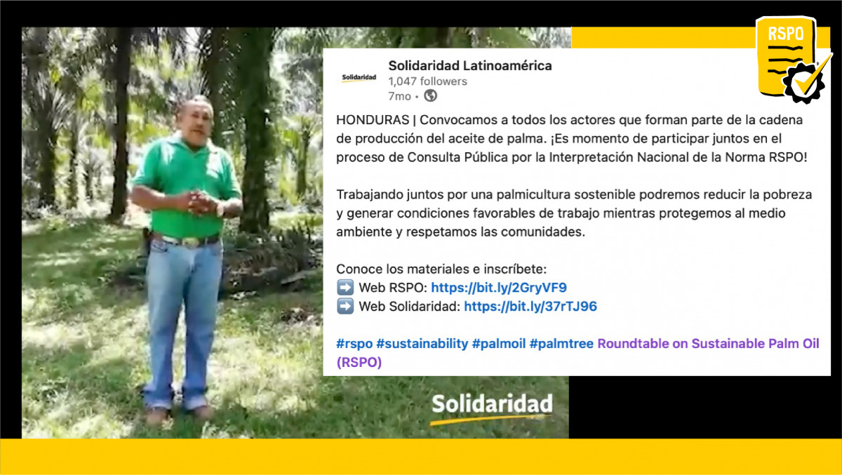 solidaridad honduras rspo