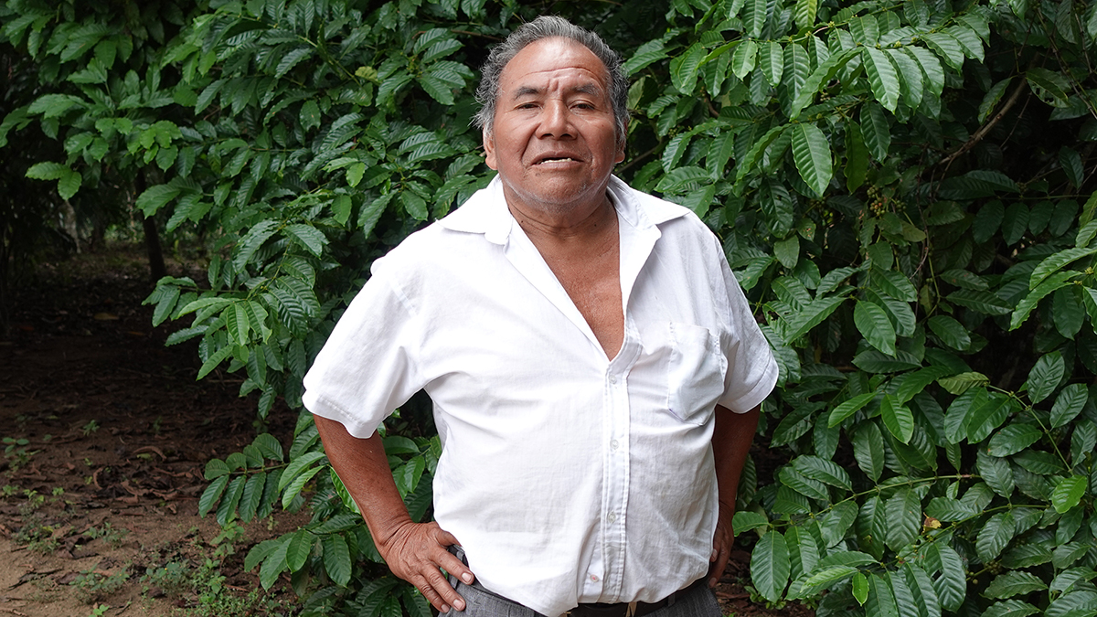 Retrato de Cristobal Choc, peque&ntilde;o productor de palma aceitera de la regi&oacute;n del Ixc&aacute;n en Guatemala